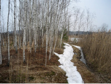 ����� � �����