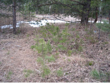 ������ ��������� �ݣ