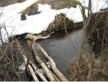 ������ ����