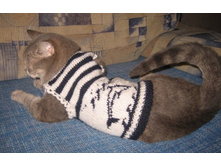 ��������� � ������������