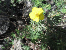 ����������� 029