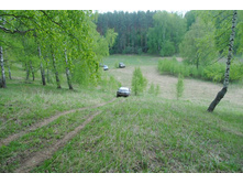 DSC_0098.jpg