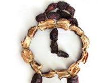 ����� ���������, �������� 100 �  - 206,50�