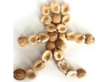 ������� ���������, �������� 100 �  - 196�