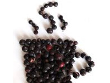 ��������� ������ ������� �����, �������� 100�  - 227,50�