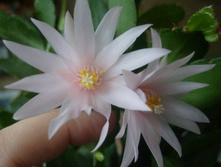 ������������� �����1