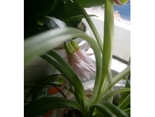 ������������� �����2