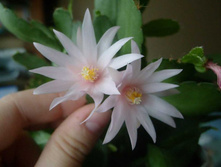 ������������� �����3