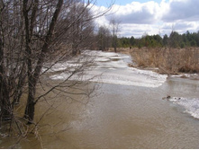 � �.����������