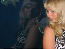 � ���������