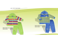 ������ ���������