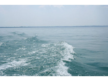 ����� �����. ���� �����!