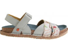 ���� 41 ������