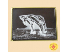 �������� -1�1