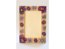 ��������� ����