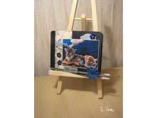 �������