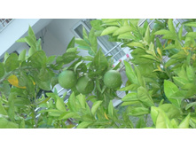 ���� ������ 040.JPG