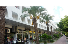 ���� ������ 088.JPG