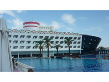 ���� ������ 103.JPG