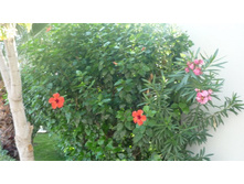 ���� ������ 116.JPG