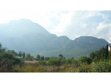 ���� ������ 117.JPG