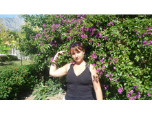 ���� ������ 391.JPG