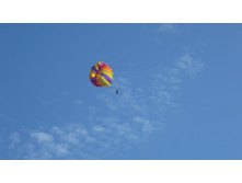 ���� ������ 479.JPG