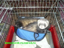 ����� P1090099.JPG