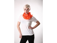 4903136-20-1.jpg 180 ���..jpg