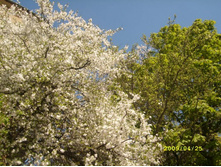 �������� ���� :)