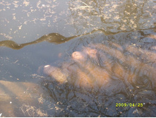 ��� ���?!