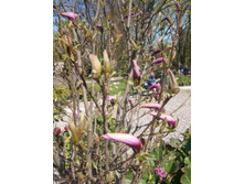 �ݣ ����-���� � �������� ��������