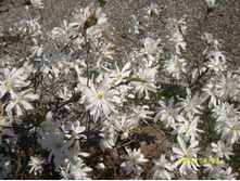 �ݣ ��������