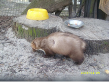 �������� ������