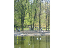 ������� �����