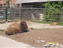 ��� ��? ������� - ����� :) 