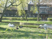 ������ �� �������