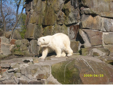 ���� �ݣ �� ������� �����