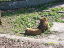 ���� �� ���������