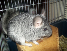 �������)))