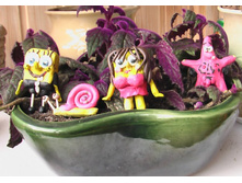 ������ SpongeBob\'� - ��� ������!