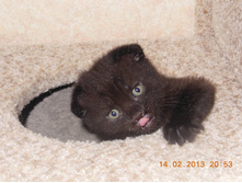 ������ 2013 009.jpg