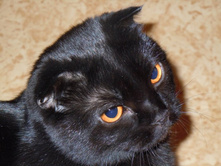 ���� 11-12 078.jpg