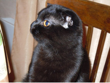 ���� 11-12 294.jpg