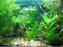 6 �������