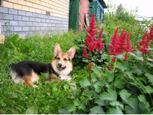 IMG_8678 - �����.JPG