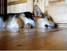 ����������� 134.jpg