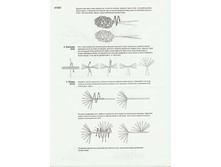 �������� �������