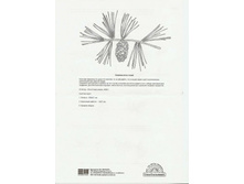 �������� �������