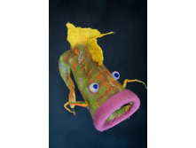 ����-��� ����-���